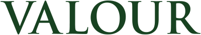 Valour Group logo