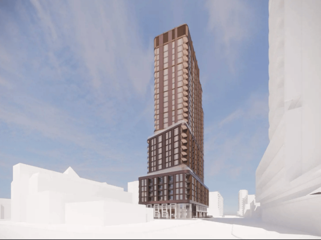 Alfie Gallery Image 1