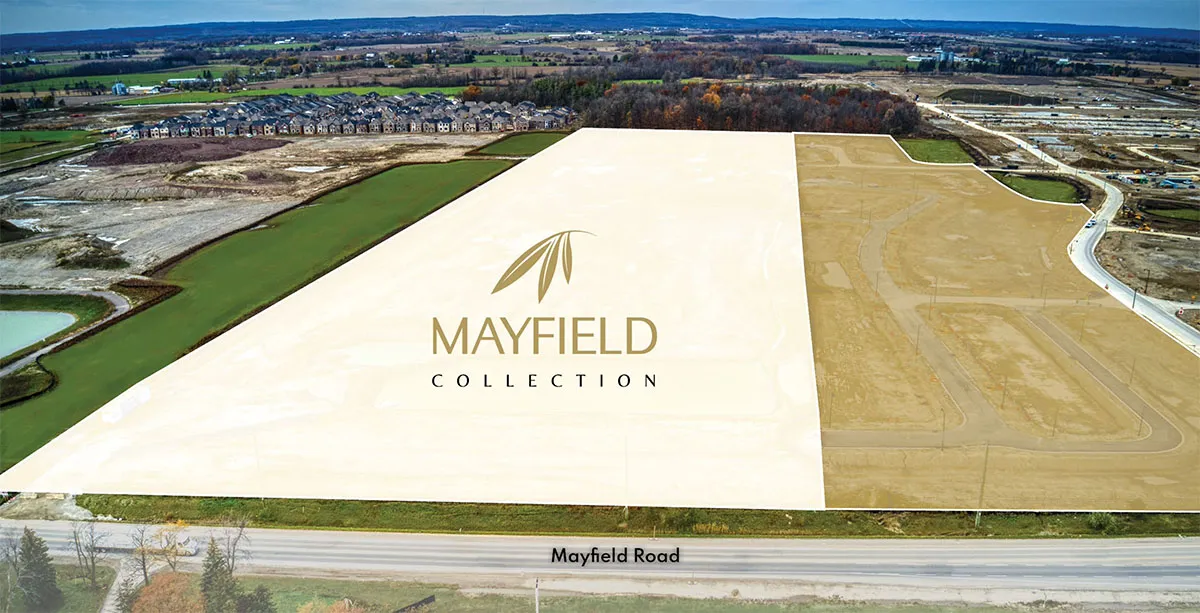 Mayfield Collection 